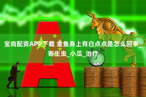 宝尚配资APP下载 金鱼身上有白点点是怎么回事_寄生虫_小瓜_治疗