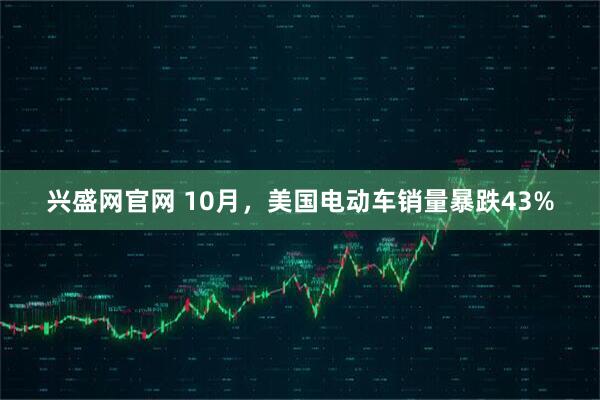 兴盛网官网 10月，美国电动车销量暴跌43%