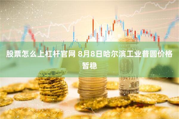 股票怎么上杠杆官网 8月8日哈尔滨工业普圆价格暂稳
