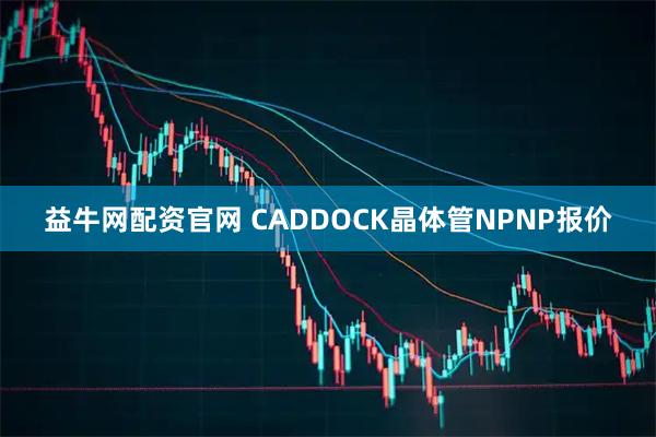 益牛网配资官网 CADDOCK晶体管NPNP报价
